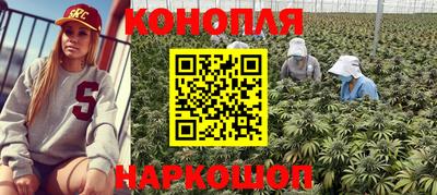 прущая мука Гай