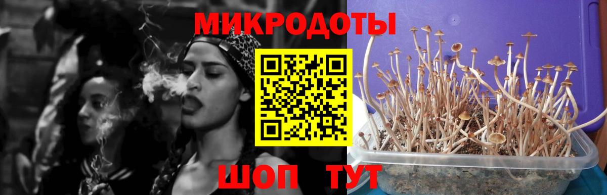 закладка  Вход с VPN  Галлюциногенные грибы Magic Shrooms  Ногинск  Галлюциногенные грибы MAGIC MUSHROOMS 